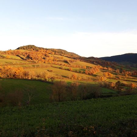 Chambres D'Hotes Le Moulin D'Auxillac La Canourgue Luaran gambar